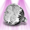 Ampoule horticole LED E27 pour plantes SpectraBULB X30