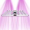 Lampes Newlite IndoorLED VB 8B 1700P 630W - 8 barres 2.7 μmol/J
