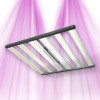 Panneau Led Florastar TI 500W - Croissance et Floraison Sublimées