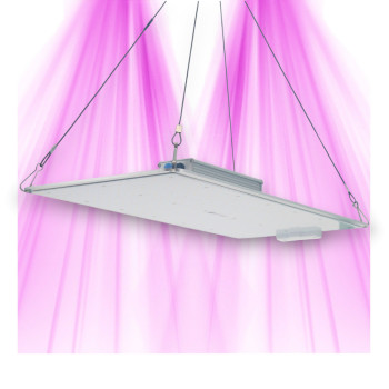 Panneau LED Quantum BOARD 240W - Croissance Optimisée et Flexibilité Lumineuse