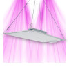 Panneau LED Quantum BOARD 240W - Croissance Optimisée et Flexibilité Lumineuse