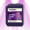 Plagron Power Buds - Booster de bourgeons et accélérateur de floraison