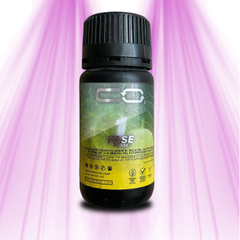 Booster CO2 Effect - Phase 1