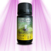 CO2-Effekt-Booster – Phase 1