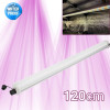 SpectraLINE V2 - 30/60/90/120cm barres LED étanches pour semis, boutures jeunes plantes