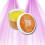 ZERUM WILD Melon GEL – Geruchsvernichter