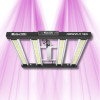 Grizzly Pro 180W - Système Led Multi-Barres pour la culture indoor - Calitek