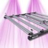 Barres horticoles LEDs Grizzly 630W 3.0 - Eclairage croissance et floraison Calitek