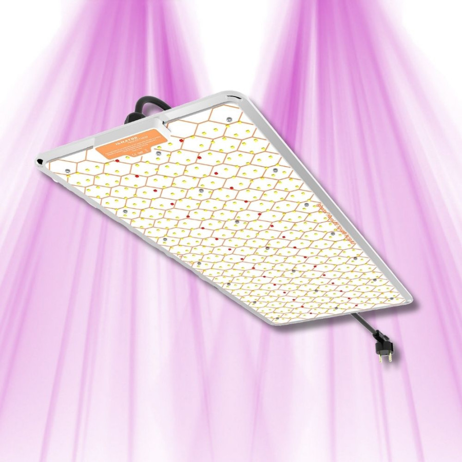 Ignator HeroLED F240W - Éclairage horticole LED