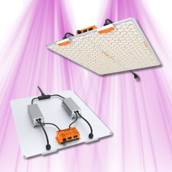 Ignator HeroLED F480W - Éclairage horticole LED