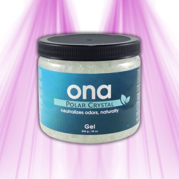 ONA Gel Polar Crystal 732g – Neutralisateur d'Odeurs à Base d'Huiles Essentielles