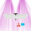 HLG 100 RSPEC - Panneau horticole LED - LEDs Samsung LM301H - Livré avec prise EU Horticulture Lighting Group - 1