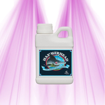 HammerHead – Advanced Nutrients – Blühverstärker