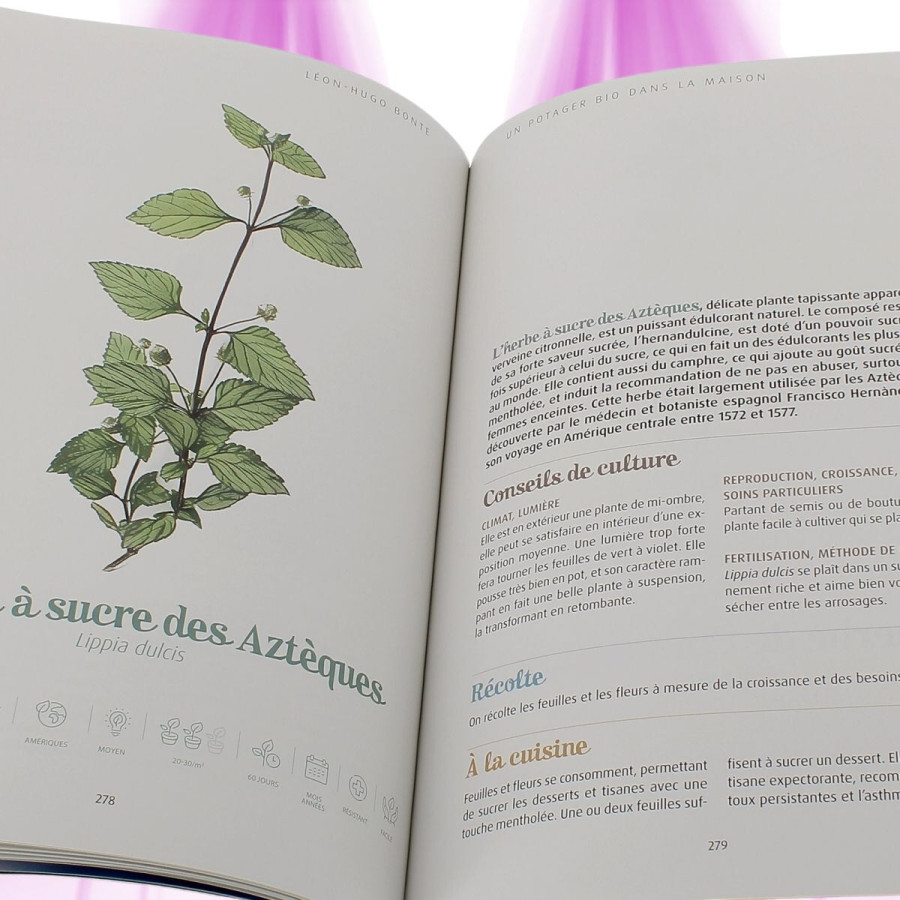 Un Potager BIO dans ma maison - Mama Editions - 1