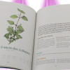 Un Potager BIO dans ma maison - Mama Editions - 1