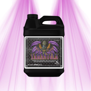 Tarantula – Advanced Nutrients – Mikrobielles Biostimulans für die Wurzelzone