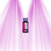 ATAMI B'cuzz Bloom - Stimulateur de floraison ATAMI - 1