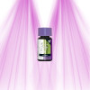 ATAMI B'cuzz Boost Silic - additif en silicium ATAMI - 1