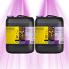 Engrais ATAMI B'Cuzz Soil - Terre Nutrition A+B ATAMI - 1