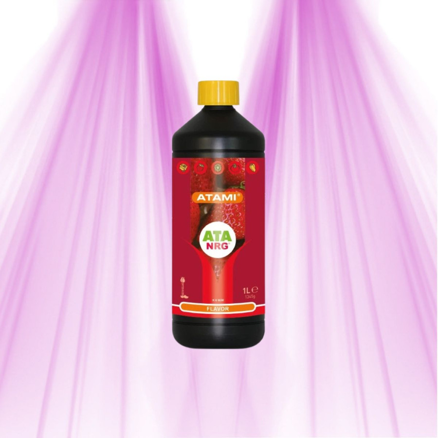 Exhausteur de goût - ATA NRG Flavor - ATAMI ATAMI - 1