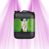 Stimulateur Croissance et Floraison - ATA XL - ATAMI