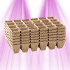 Lot de 144 pots Biodégradables Romberg