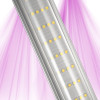 Ignator HeroLED B26W 6600K – LED Croissance pour Semis & Boutures