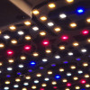 Rhino Series 130W PRO - LEDs Samsung LM301H et Rouge (660nm) - Gestion de l'intensité CannaLED - 1
