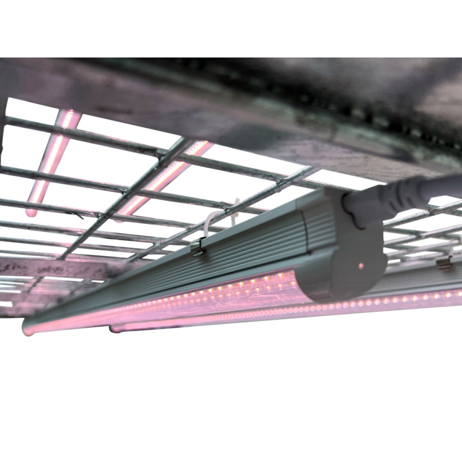 Kompletter Vermehrungswagen - LED für Samen und Klone - VDL - professionelles System aus verzinktem Stahl