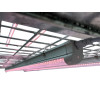 Kompletter Vermehrungswagen - LED für Samen und Klone - VDL - professionelles System aus verzinktem Stahl