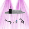 SANlight EVO 4-80 265W - Hochleistungs-LED-Beleuchtung für den Innenanbau