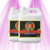Advanced Nutrients pH Perfect Connoisseur Grow A & B - Automatische pH-Stabilisierung