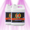 Advanced Nutrients pH Perfect Connoisseur Bloom A & B - Mühelose pH-Stabilität