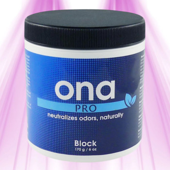 Geruchsvernichter ONA PRO Block - 170 g - Geruchsentfernung