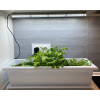 LED-Wachstumsröhre 26W 6600K Magnete + Timer — Meliflor