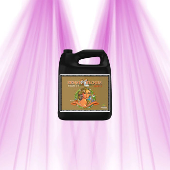 pH Perfect Sensi Bloom Coco B - Advanced Nutrients - Blütedünger