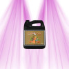 pH Perfect Sensi Bloom Coco B - Advanced Nutrients - Blütedünger