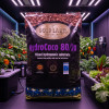 Hydro Coco Substrat RHP 80/20 45 L - Gold Label
