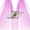 LED Grow Lampe GL650W+ Vollspektrum IP66 - Treegers