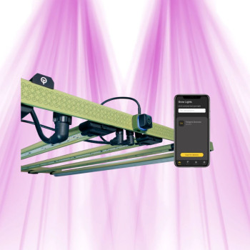 Treegers Growcast Lichtsteuerung