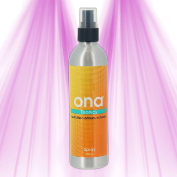Ona Pump Spray Pro 250 ml – manueller Diffusor