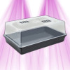 Pro 70 Plus Propagator mit Haube - Varios