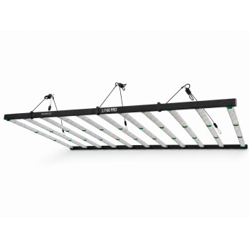 SpectraWILD L1100 PRO - 1100W de puissance pour 230cm x 110cm - L'éclairage horticole XXL