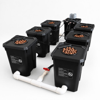 Hydroponisches RDWC-System 6 Töpfe 27L – Zirkulation & Wurzelbelüftung
