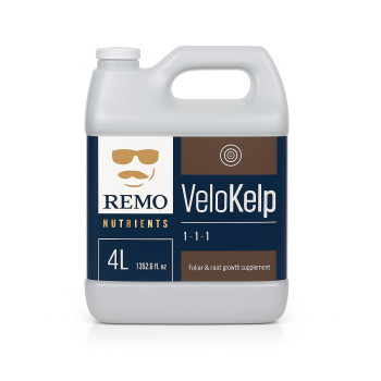 Velokelp REMO — Wachstumsstimulator auf Kelpbasis für Indoor-Anbau
