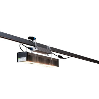SANlight EVO 2C S1W 310W