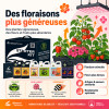 Starter KIT Master Complet - Advanced Nutrients - 250ml/500ml