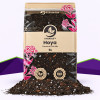 Hoya Mix SybaSoil — Substrat für Hoyas, 5 L