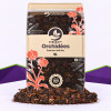 Orchid Mix SybaSoil — Substrat für epiphytische Orchideen, 5 L