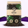 Bonsai Mix SybaSoil — gut drainierendes Substrat für Bonsais, 5 L